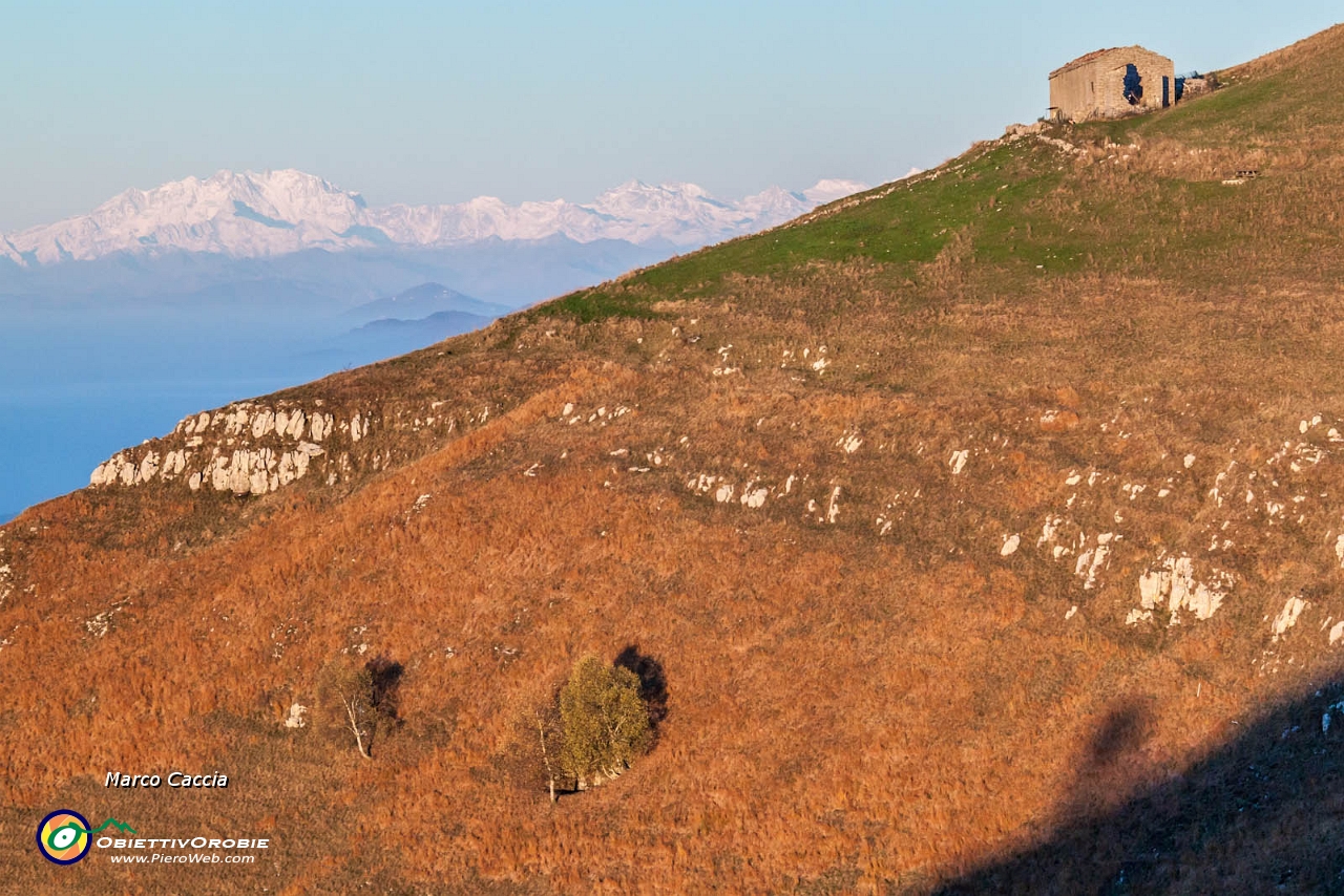 Albanovembrina  dal Linzone-22.JPG